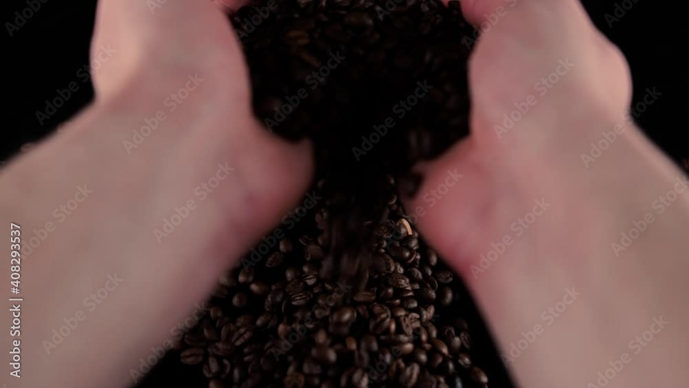 freshly roasted coffee beans pouring out of hands freshly roasted coffee beans pouring out of hands