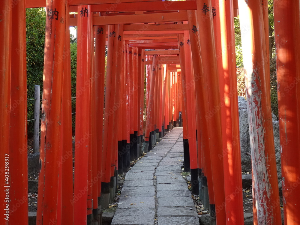 The approach to the shrine with red Senbon Torii at Nezu Shrine (Tokyo) The approach to the shrine with red Senbon Torii at Nezu Shrine (Tokyo)