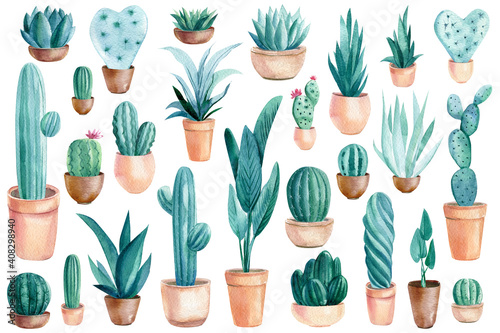 Watercolor Cacti, succulents and tropical plants on isolated white background