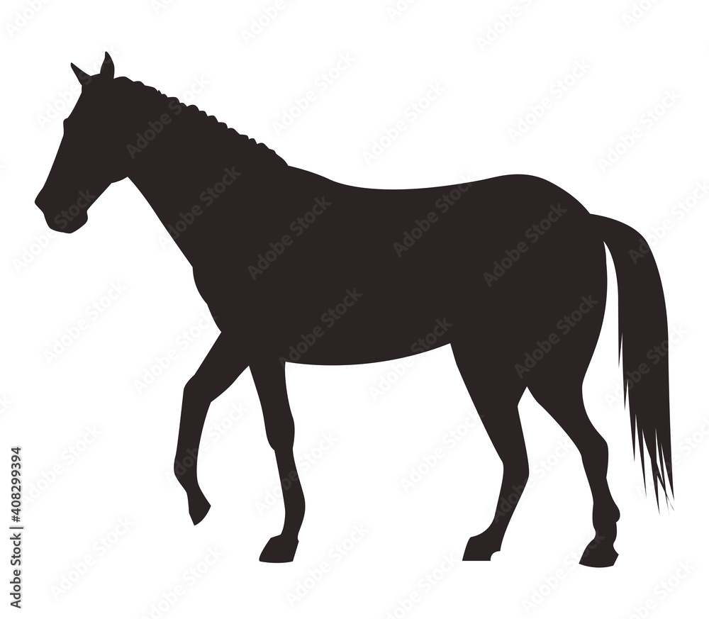 horse black animal silhouette isolated