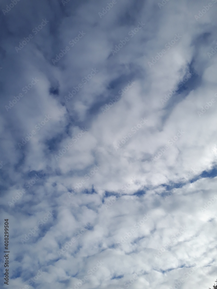 Fototapeta premium clouds in the sky