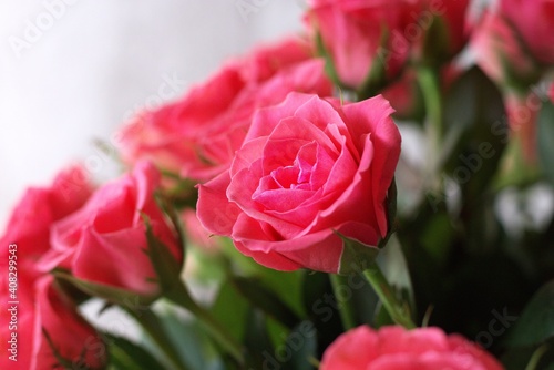 closeup of pink rose in bouquet