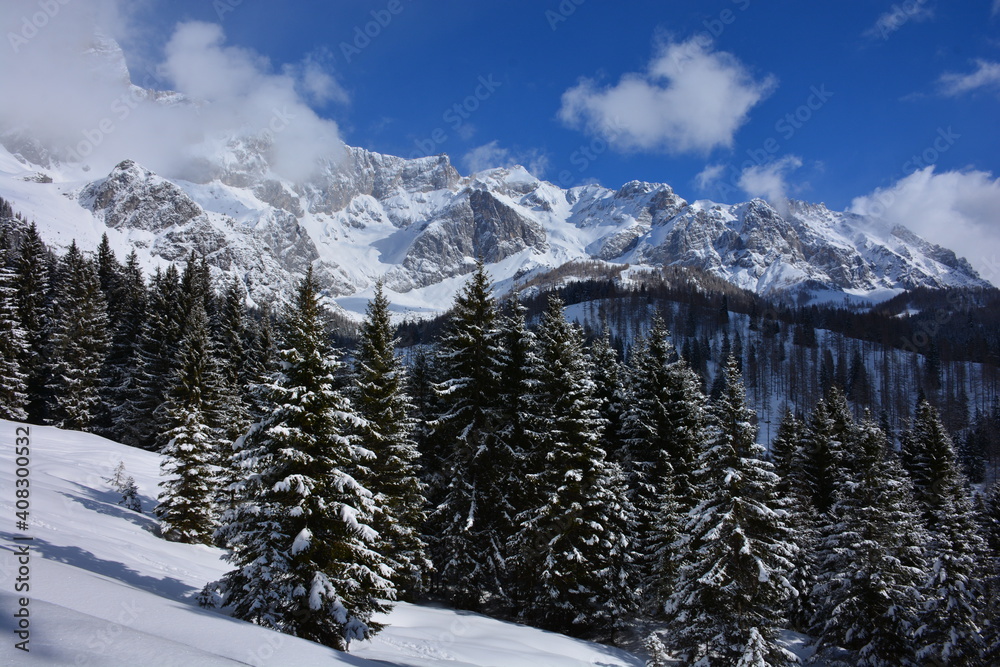 snow covered mountains and coniferous forest snow covered mountains and coniferous forest
