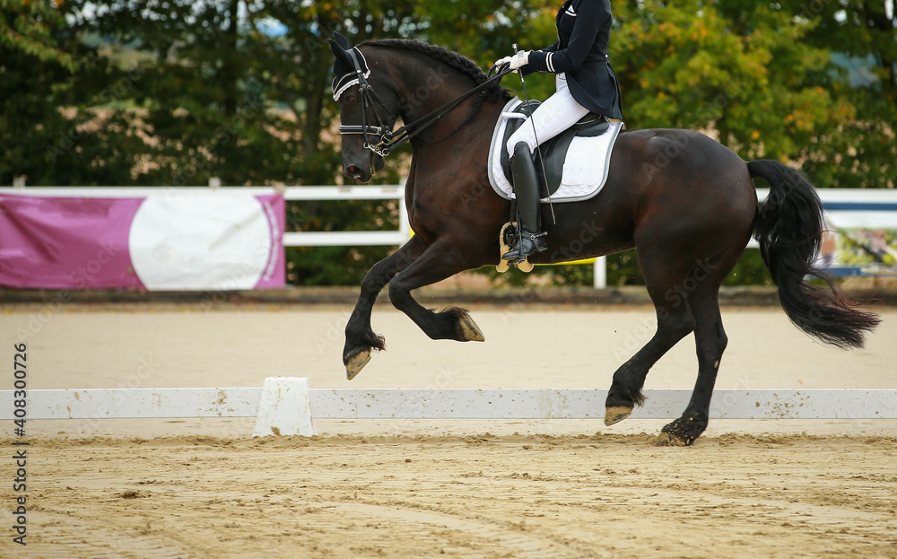 Horse black galloping from right to left with rider at a dressage tournament.. Horse black galloping from right to left with rider at a dressage tournament..