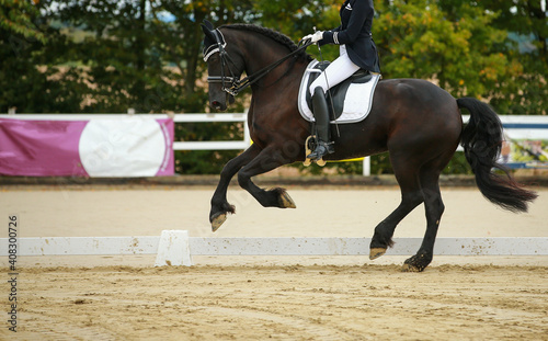 Horse black galloping from right to left with rider at a dressage tournament..