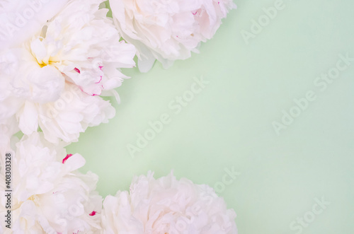 Fototapeta Naklejka Na Ścianę i Meble -  Greeting card background, white peonies on light green background with copy space with selective focus
