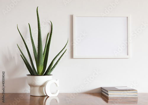 Frame on the wall and beautiful plant. Mock up. 