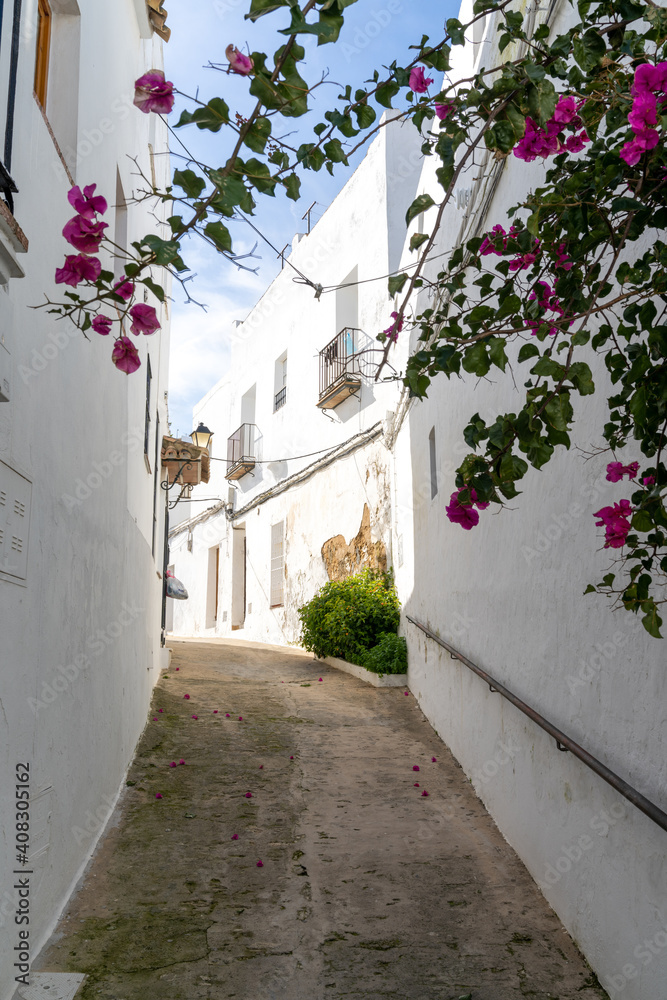 narrow street in the historic old center of Vejer de la Frontera with purple flowers in the foreground