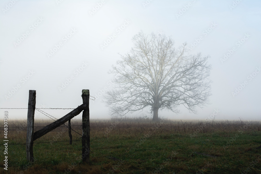 Fog sets in Cades Cove