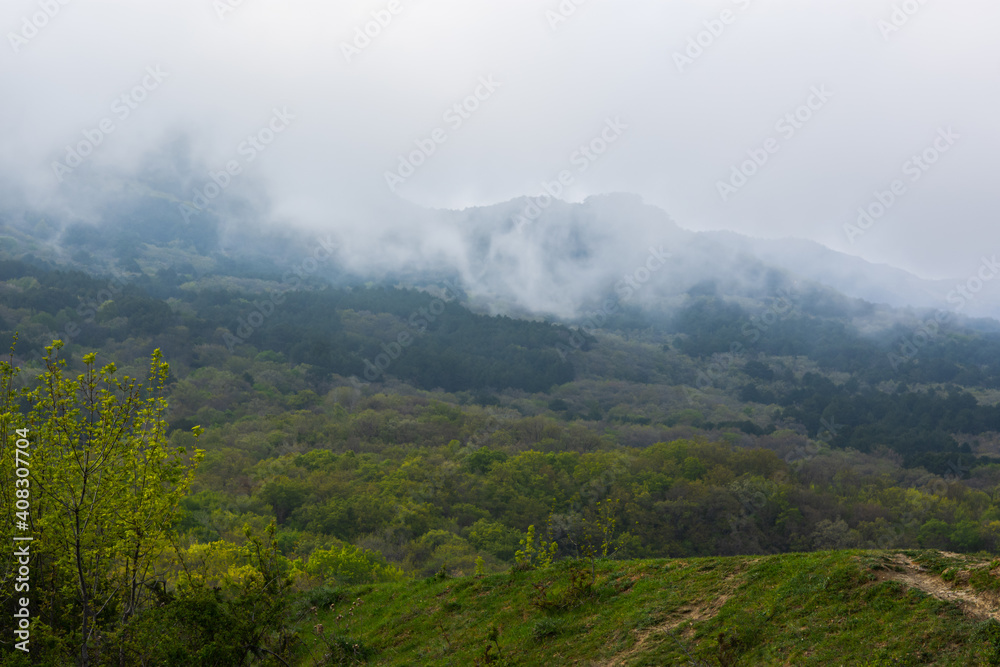 Spring forest, mountains, clouds. Overcast landscape with green trees on the mountainside. Gentle air clouds covered the peaks. A sad, calm look.Atmospheric spring background without people,copy space