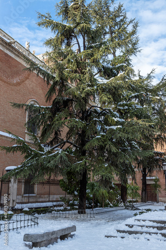 beautiful corner in bernardas square snowy covered  in the city of alcala de henares on a sunny day after a snowfall with a big cedar in the foreground photo