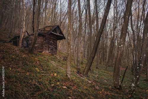 A scary looking crumbling abandoned cottage in a late autumn forest.