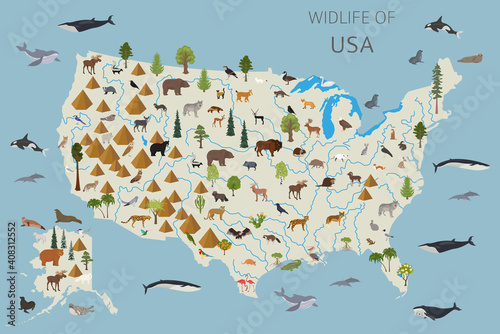 Flat design of USA wildlife. Animals, birds and plants constructor elements isolated on white set. Build your own geography infographics collection.