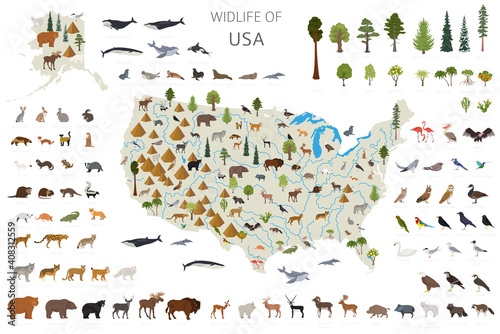 Flat design of USA wildlife. Animals, birds and plants constructor elements isolated on white set. Build your own geography infographics collection.