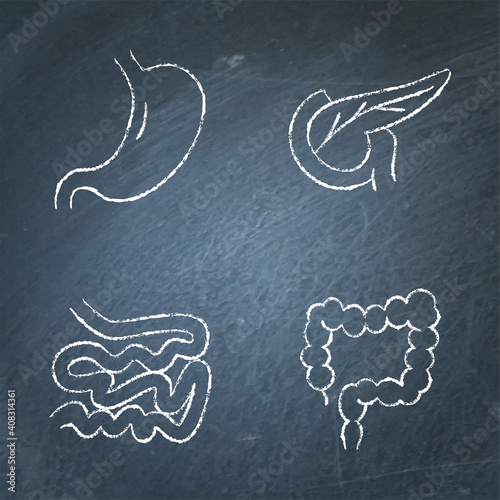 Digestive system icon sketch set on chalkboard