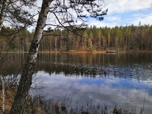 Fototapeta Naklejka Na Ścianę i Meble -  Lake in the forest. Reflection of the trees in water