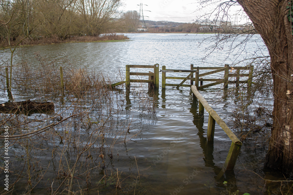 Naklejka premium View of flooded field