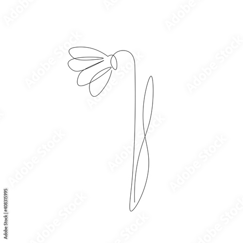 Snowdrop flower on white background, vector illustration