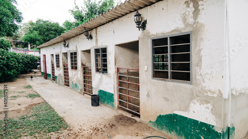 Championship horse stable in Barranquillo Colombia photo