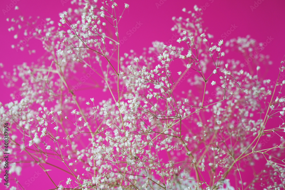 White little flowers and twigs on a pink background