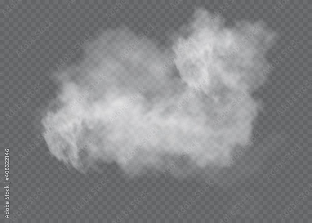Naklejka premium Transparent special effect stands out with fog or smoke. White cloud vector