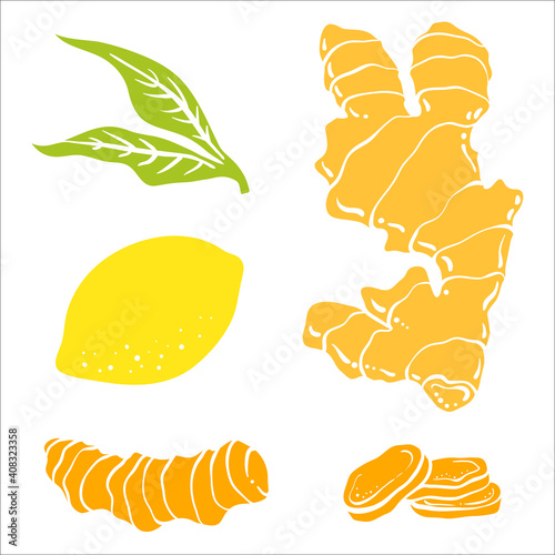 Ginger, lemon, turmeric. Roots and slices. Colorful sketch collection of herbs and spices isolated on white background. Doodle hand drawn healthy food icons. Vector illustration