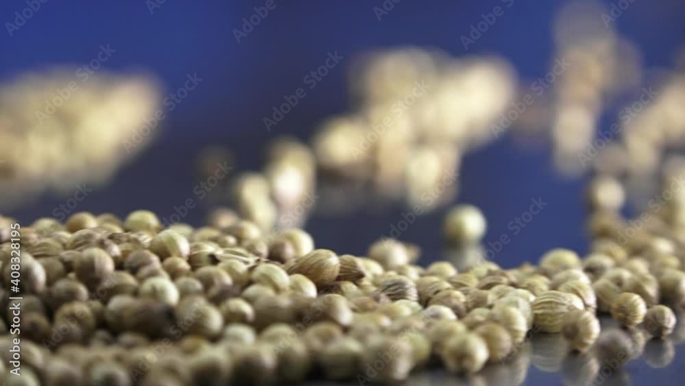 Coriander seeds on the table close-up