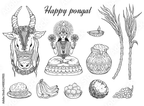 Set of vector sketches for national south indian happy pongal holiday.