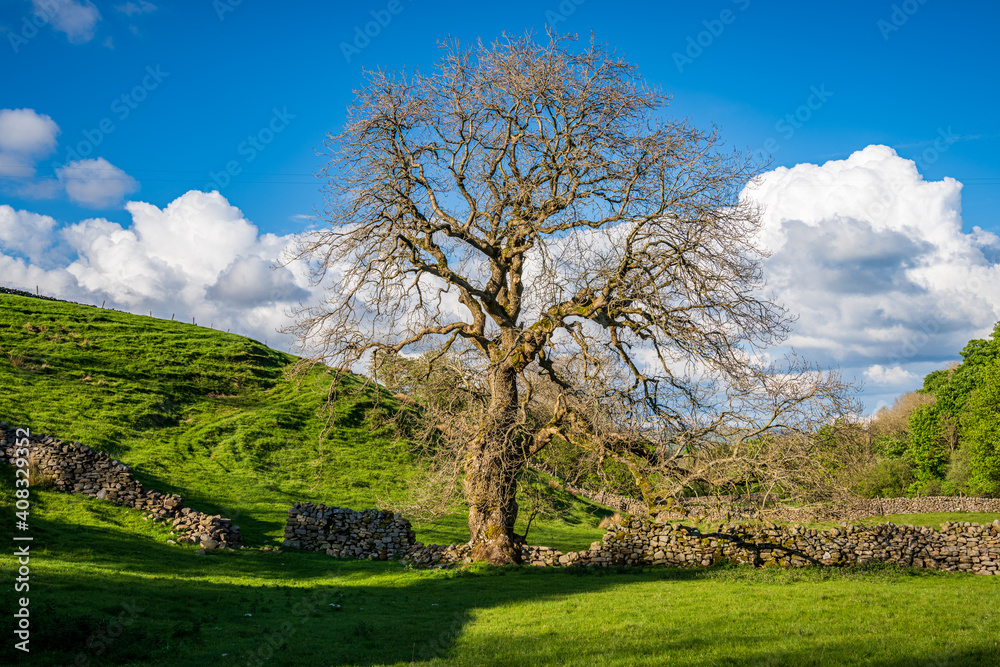 Yorkshire Dales landscape near Gayle, North Yorkshire, England, UK Yorkshire Dales landscape near Gayle, North Yorkshire, England, UK
