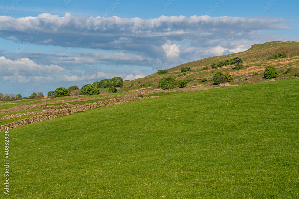Fototapeta premium Landscape in the Upper Wensleydale near Gayle, North Yorkshire, England, UK
