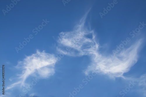 fantasy cloud creature in the form of dinosaur and whale in the sky  snow-white clouds in the sky in the form of animals