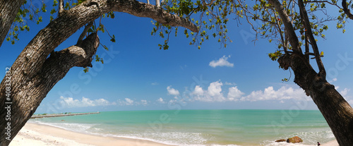 Panoramic Tropical beach with blue sky and tree leaf out into the sea
