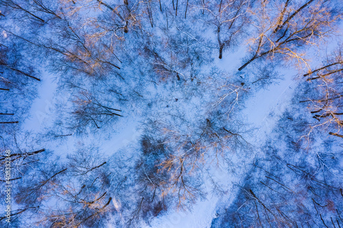 Sunset of a  snow covered forest in winter, drone shot