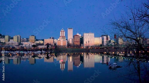 Massive Murder of Crows Flying over the Willamette River in Portland Oregon at Sunrise 