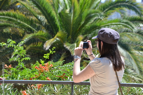 Photographe avec un appareil photo digital avec en arrière-plan un palmier géant photo