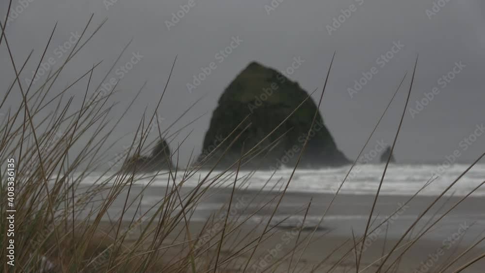 Long Shot of Haystack Rock