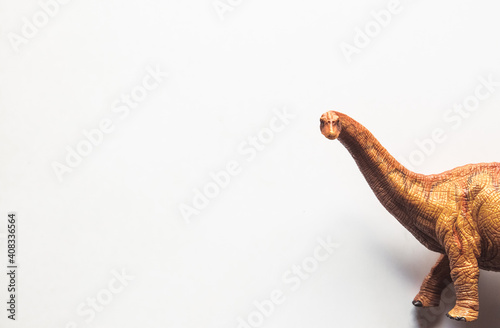 Brachiosaurus Dinosaur toy isolate on white background