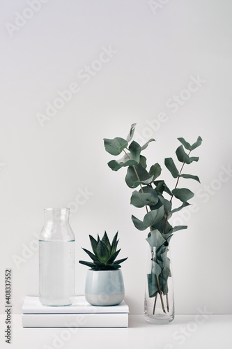 A transparent bottle with a cork stopper and a vase with eucalyptus branches on a white background. Natural and eco-friendly materials in interior decor. Copy space  mock up
