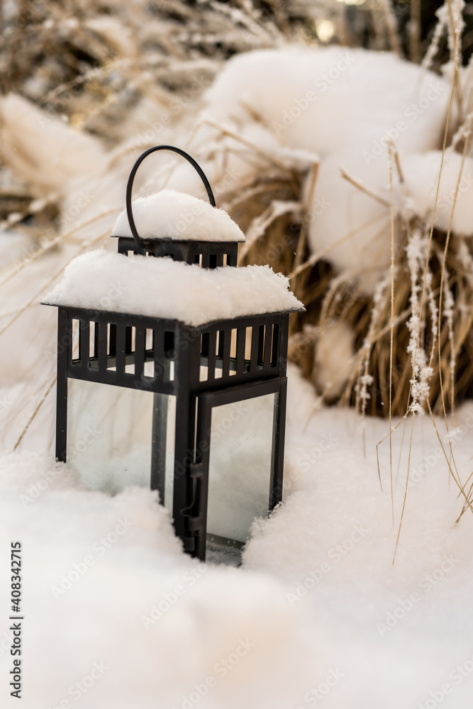 Latarenka w ogrodzie przykryta śniegiem na tle traw ozdobnych - obrazy, fototapety, plakaty 