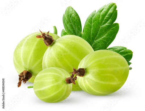 Isolatec gooseberries. Bunch of green gooseberries isolated on white background with clipping path