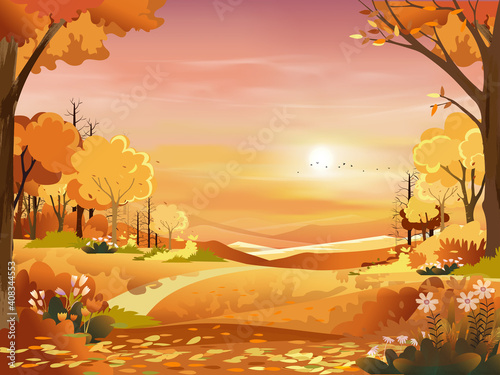 Autumn landscape wonderland forest with grass land,Mid autumn natural in orange foliage,Fall season with beautiful panoramic view with sunset and pink sky, mountain and maple leaves falling from tree