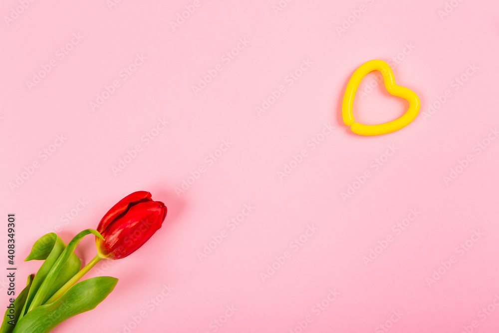 Yellow heart and red tulip on pink background with copy space, text place. Layout for advertising of relationships, health, medicine, lifestyle or sport. Happy Valentine Day. Fall in love. Minimalism Yellow heart and red tulip on pink background with copy space, text place. Layout for advertising of relationships, health, medicine, lifestyle or sport. Happy Valentine Day. Fall in love. Minimalism