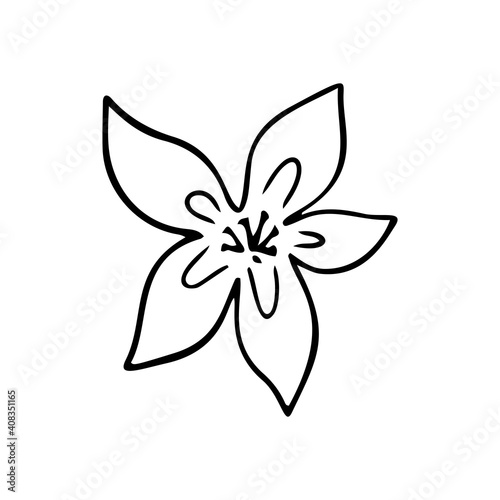 Plumeria flower outline. Frangipani line art vector illustration isolated on white background. Plumeria silhouette icon, blossom doodle and simple element.