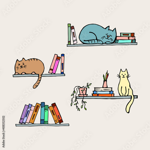 Four shelves with books. Cats are sleeping at shelves with books. Yellow cat is sitting on the shelf with books and plant in the pot.