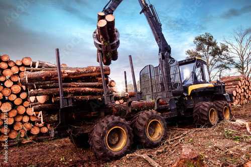 machine for cutting tree trunks used in the forestry industry