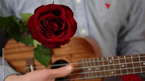 Sirenade for valentine's day. Man sings and plays ukulele. Declaration of love. Romantic gift for women's day. Lover's surprise. Bright scarlet rose photo