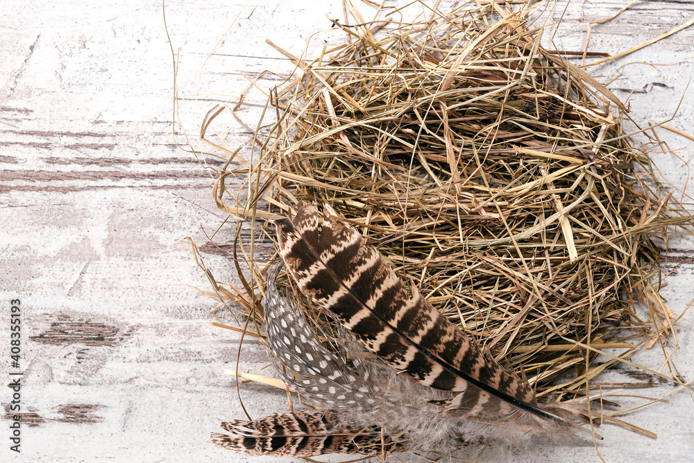 Fototapeta premium Empty quail nest with feathers on wooden table. Copy space