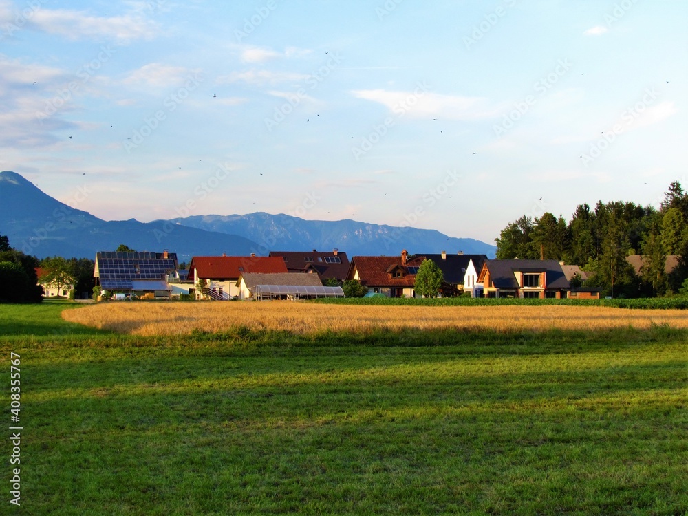 Obraz premium View of a village at Sorsko polje, Gorenjska, Slovenia and a wheat field in front and hills in the background