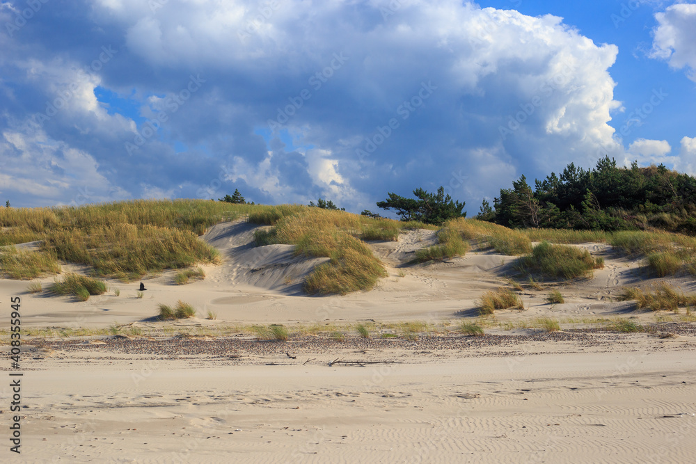 dunes by the baltic sea