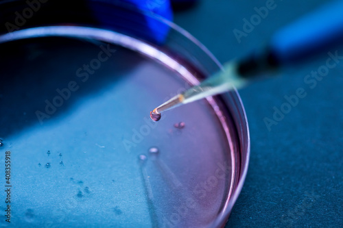 Detail of a pipette that drops a drop of fluid into a petri dish in a laboratory with a blue environment